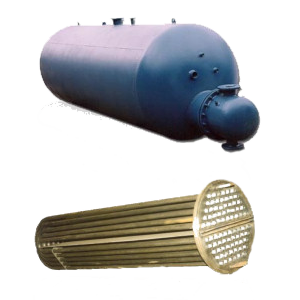 wp6-01